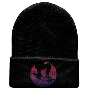 Skate Planet Beanie